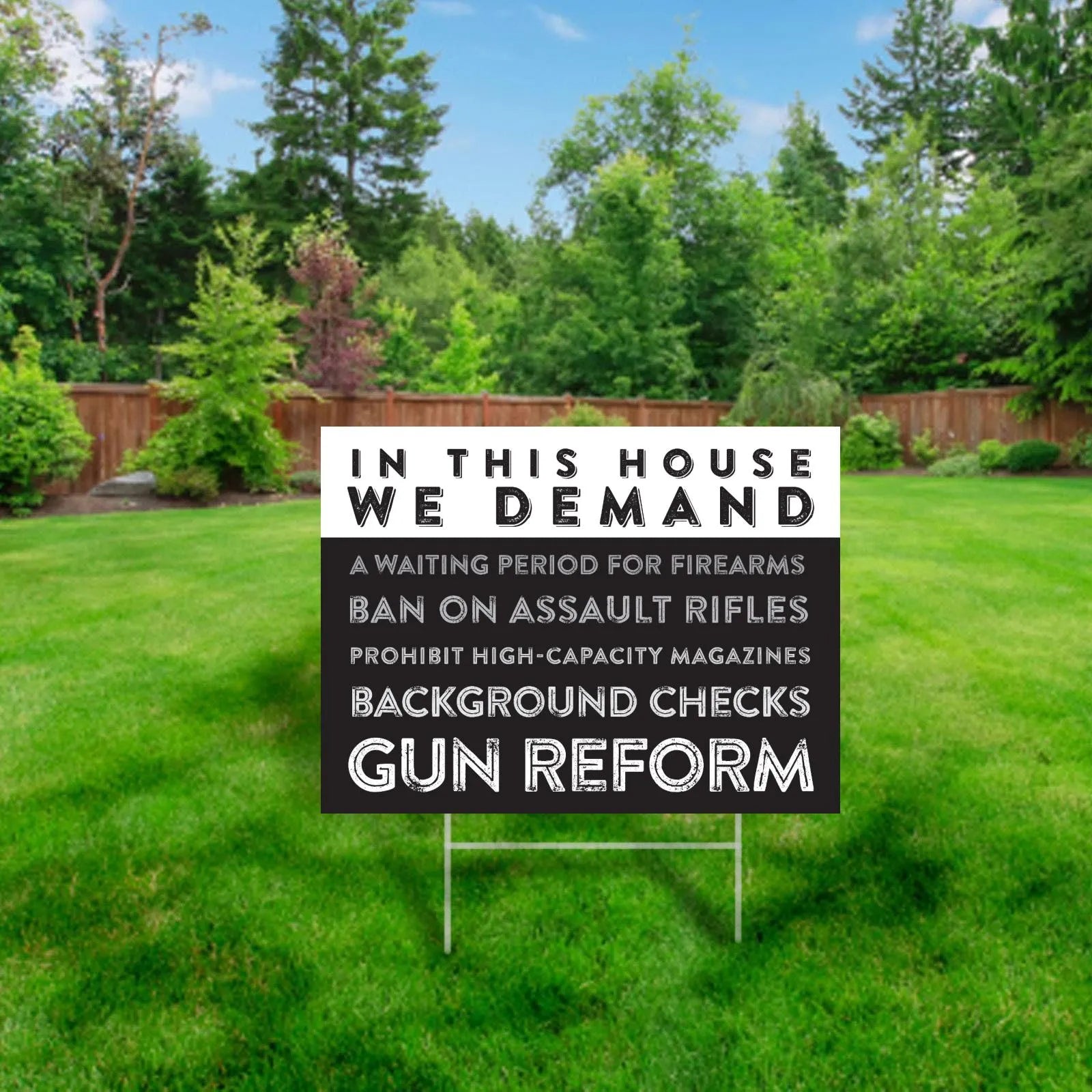 Gun Reform