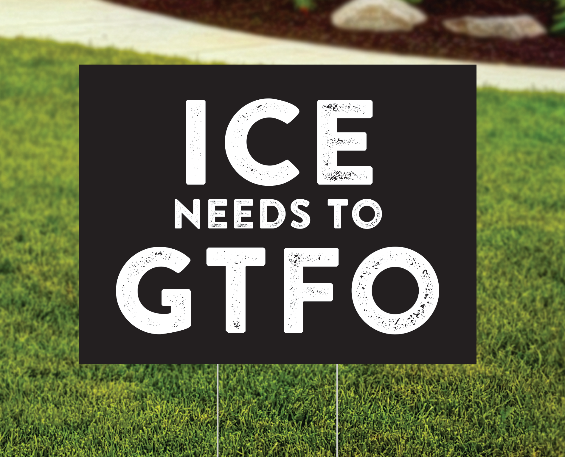 Anti-ICE / Pro-Immigration