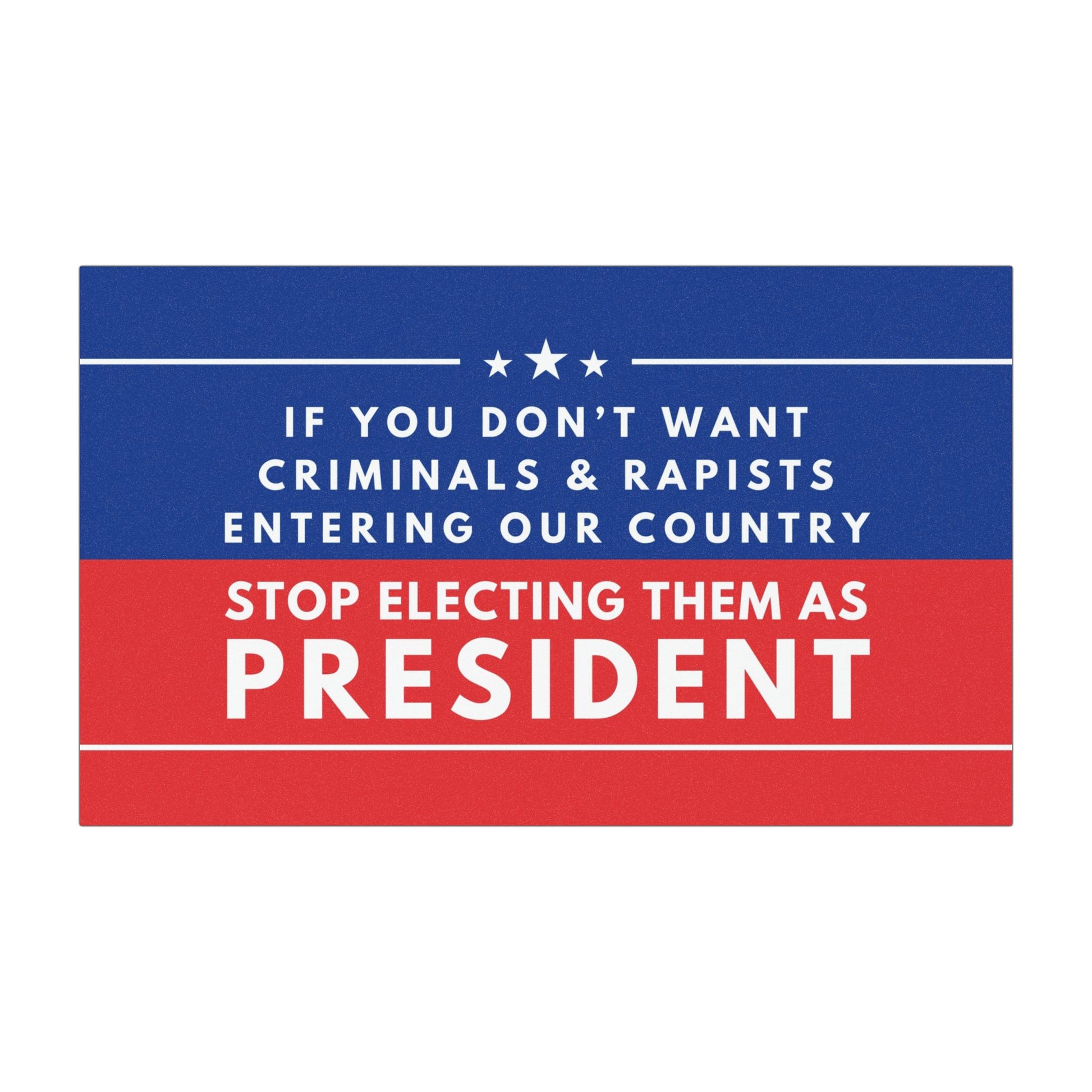 Anti-Trump Car Magnet