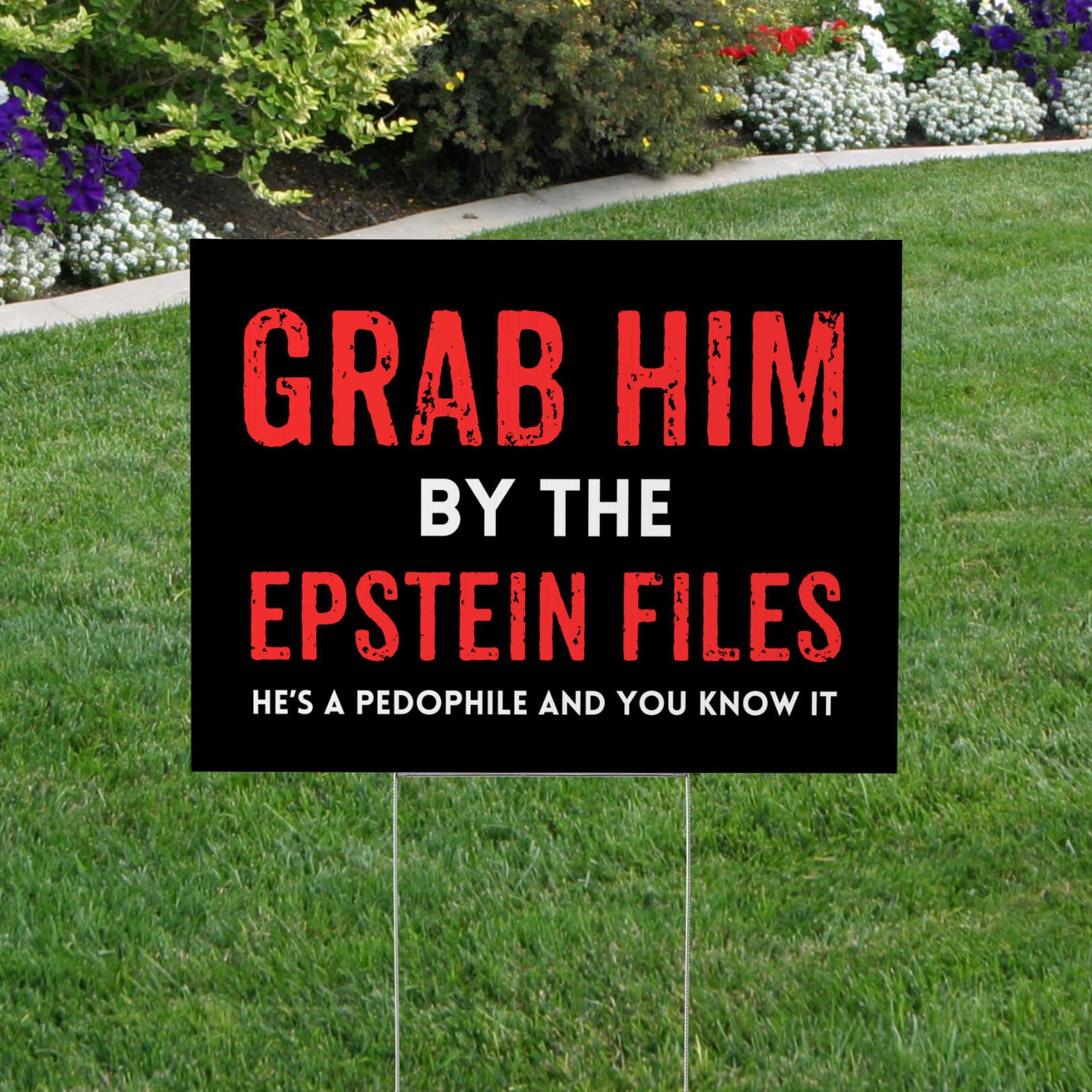 Political protest sign on grass with text 'GRAB HIM BY THE EPSTEIN FILES HE'S A PEDOPHILE AND YOU KNOW IT'.